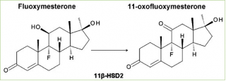 fluoxymesterone - 11-oxofluoxymesterone
